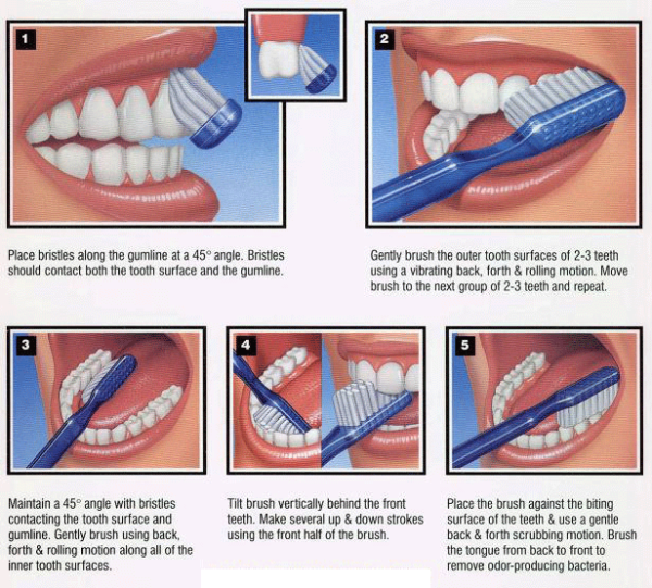 How to Brush