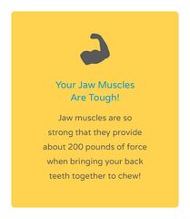 Jaw muscles are tough!
