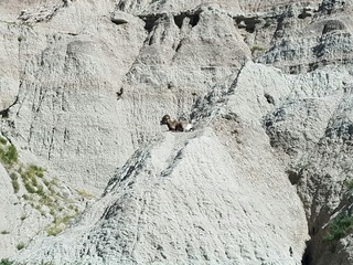 Badlands, SD