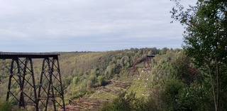 Kinzua Skywalk