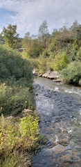 Kinzua State Park