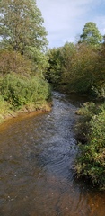 Kinzua State Park