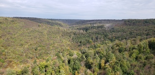 Kinzua State Park