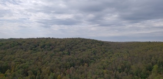 Kinzua State Park