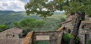 Chianti, Florence, Italy