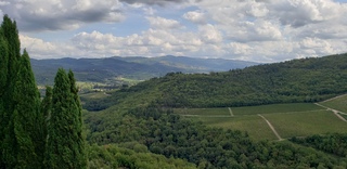 Chianti, Florence, Italy