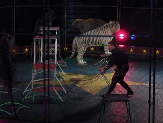 Shrine Circus/2006