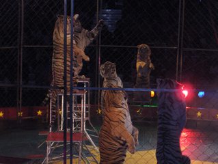 Shrine Circus Hamburg, NY 2006