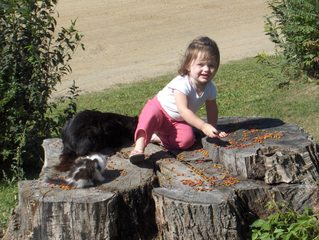 Kaylee feeding the kittys