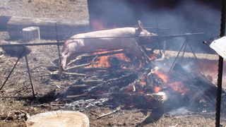 Pig roast - yum!