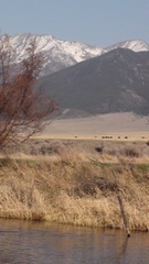 Montana mountains