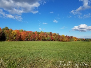 A Painting of Colors